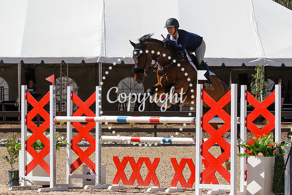 Lexica_(509)_20211020_0691