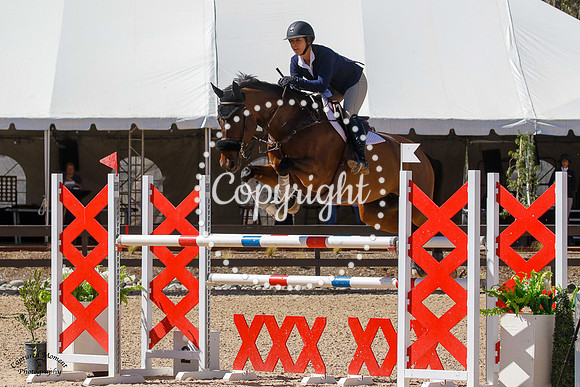 Lexica_(509)_20211020_0692