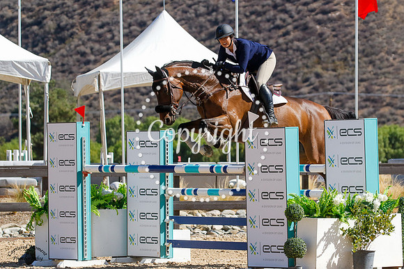 Lexica_(509)_20211020_0696