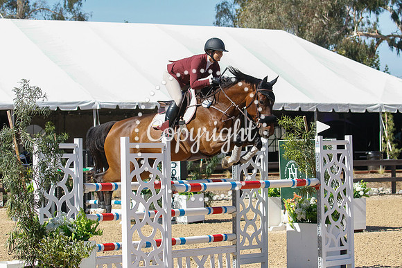 Lexica_(509)_20211021_1961