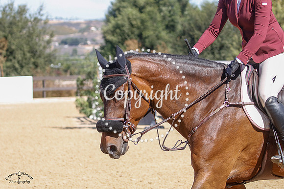 Lexica_(509)_20211021_1964