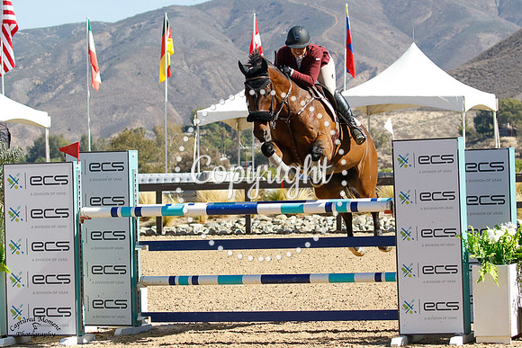 Lexica_(509)_20211021_1963