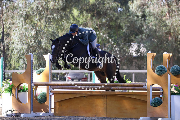 Theodore_(626)_20211021_3849