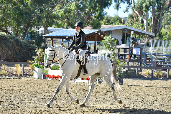 Abby_(346)_20211021_4324