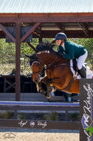 Catomy_M_(221)_20211020_0750