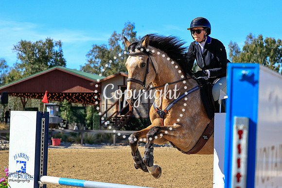 Gold_Lumiere_(673)_20211021_1548