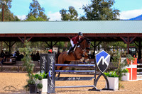 Lexica_(509)_20211023_4426