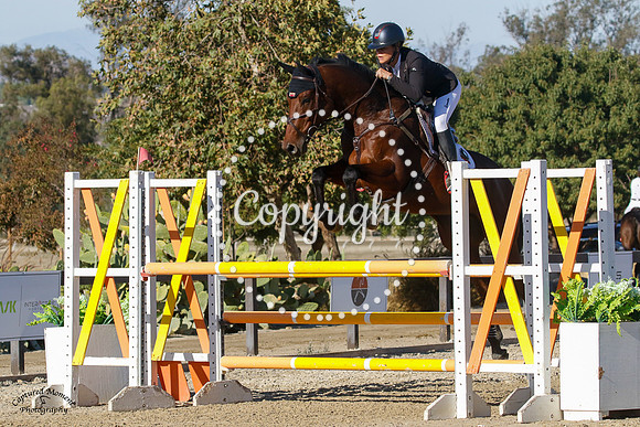 Maitanzer_(893)_20211021_2837
