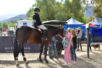 Wow_The_Crowd_(180)_20211022_4875