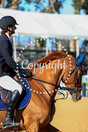 Edesas_El_Dorado_(195)_20211021_0784