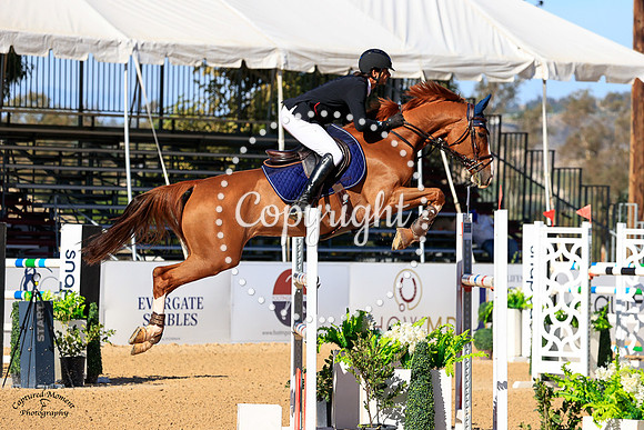 Edesas_El_Dorado_(195)_20211021_0793