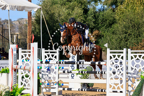 Edesas_El_Dorado_(195)_20211021_0797