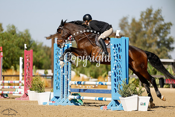 Kai_(206)_20241018_0309