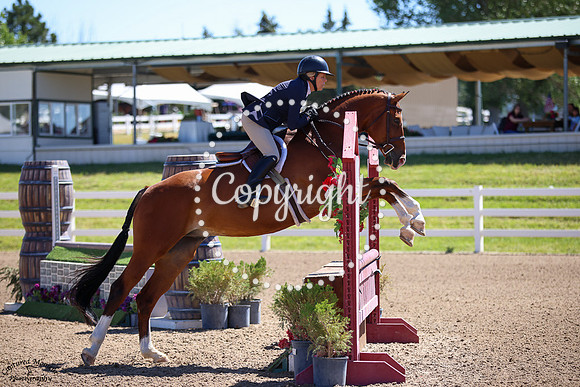 Cornucopia_(1457)_20250705_0314