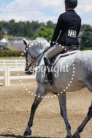 Gandalf_The_Grey_(723)_20250709_0623