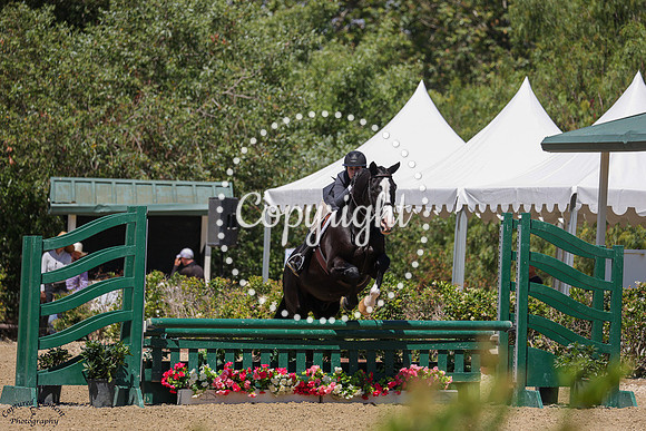 Shadowfax_(256)_20250614_6822