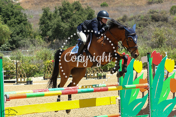 Kiwi_(167)_20250612_5842