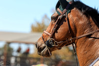 Mo_Money_(663)_20241009_2477