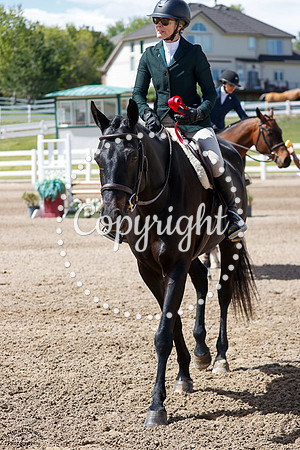 Westport_(397)_20250516_0849