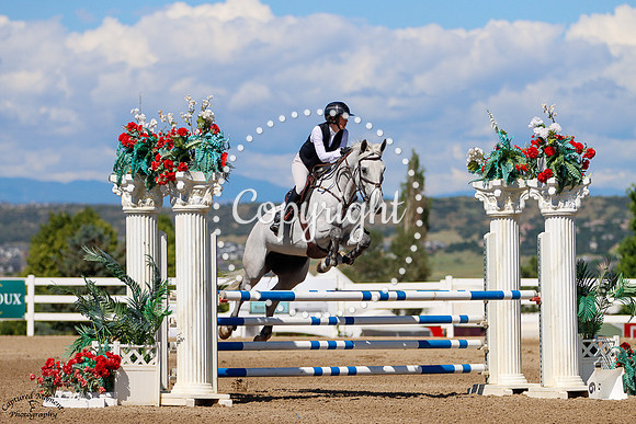 Harvest_De_Vie_(1882)_20250704_2939