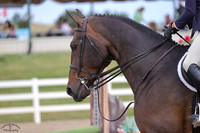 Cognac_(1047)_20250711_0286