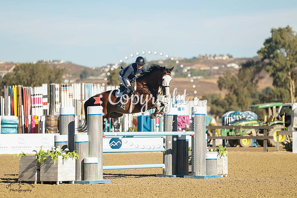 Moonface_(629)_20241010_0249