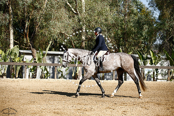 Ayrton_(3002)_20241003_1388