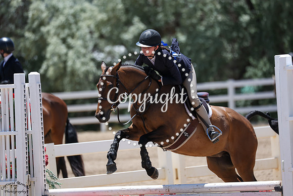 Cherrybrook_Blue_Bobbie_Socks_(1977)_20250621_1070