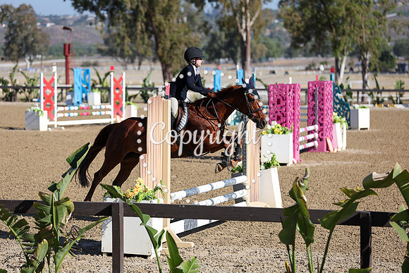 Ginny_(619)_20250530_2191