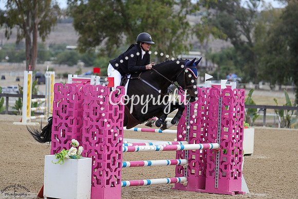 Caletta_S_(543)_20250601_8576
