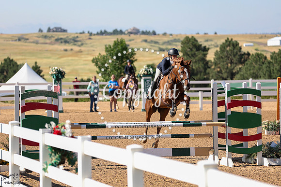 Tupelo_Honey_(1415)_20250712_2051