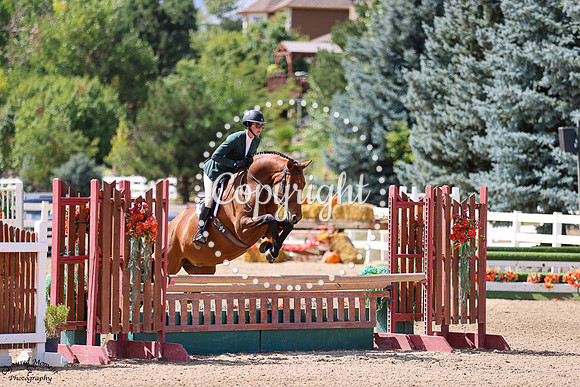 Shundance_(1299)_20240911_0004