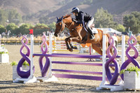 Kenzo_Des_Terdix_(947)_20241019_0182