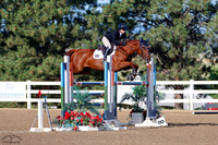 Faline_(580)_20250704_2680