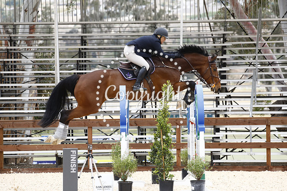 Costo_Rico_(631)_20180524_4099
