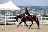 Royal_Warrant_(670)_20240904_1176