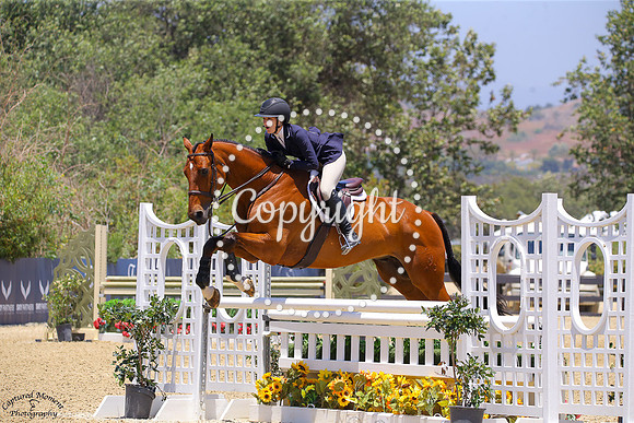 Catch_It_(589)_20250613_1206