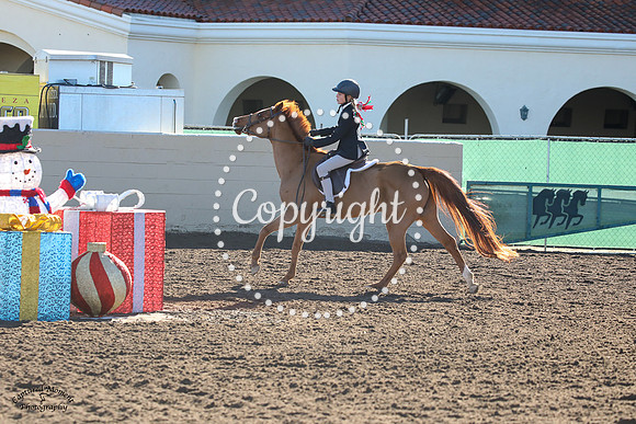 Happy_(909)_20211211_7042