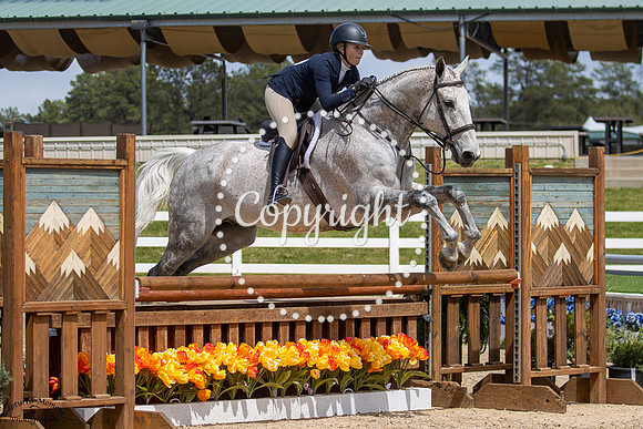 Q_King_Of_Hearts_Z_(223)_20250516_0761