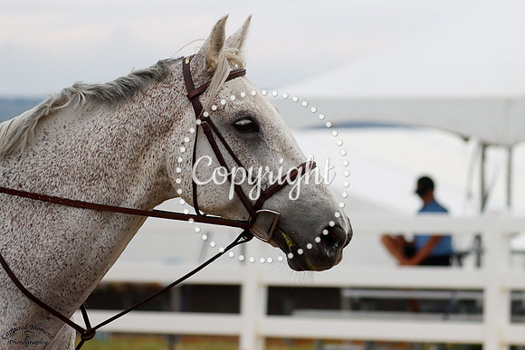 Baccardi_Du_Soleil_(1840)_20250626_3077