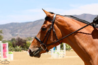 Vaccinated_Pr_(215)_20250529_2911