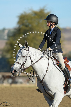 Mazarino_(1161)_20241011_5073