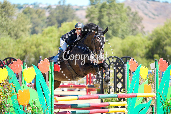 Bottino_(1286)_20250724_1663