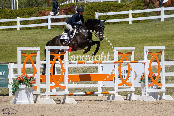 Woodlands_Qt_Pie_(322)_20250516_1022