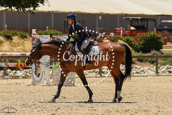 Ferdinand_W_(313)_20250522_2166