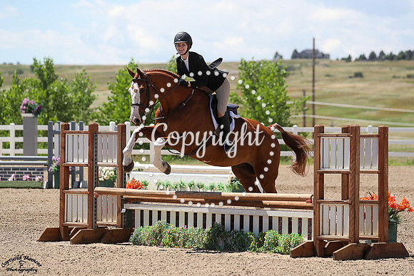 Red_White__Balou_(691)_20250704_3992