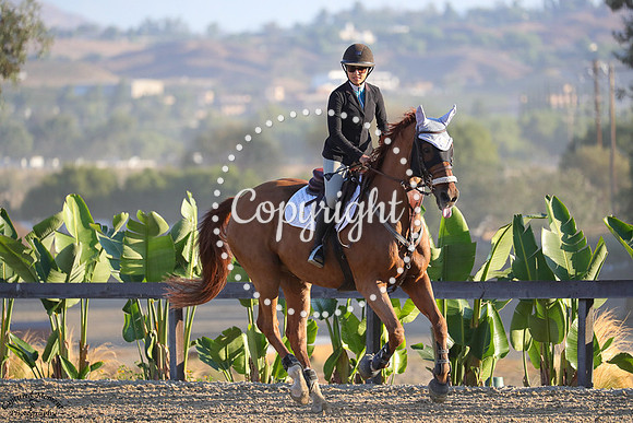 Lord_Lorien_(105)_20241003_0185