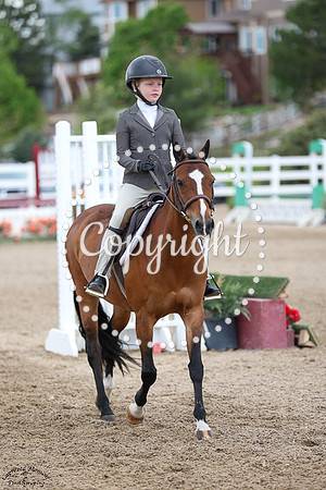Woodlands_Qt_Pie_(322)_20250517_3618
