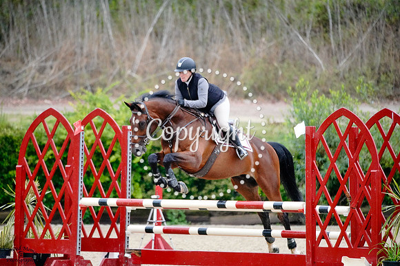 The_Cardo_(1431)_20250625_0051