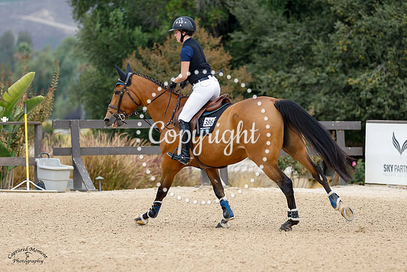 Jurania_Vant_Lozerhof_(386)_20241017_0275
